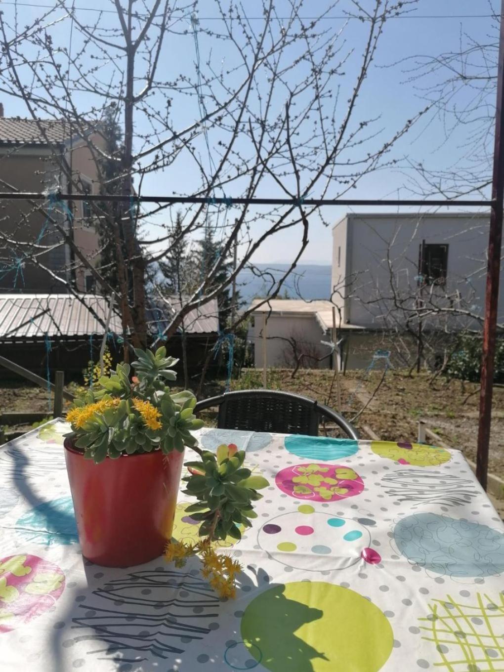 Apartments Olgi - Free Parking Crikvenica Dış mekan fotoğraf
